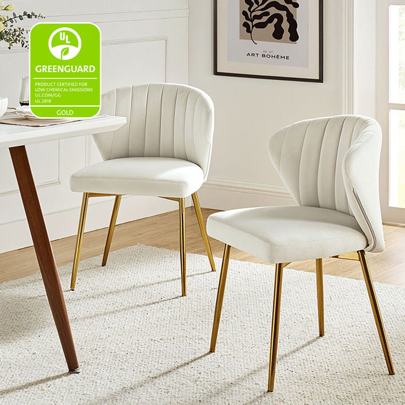 Aruna Side Chair Set - Modern Dining Chairs for Kitchen, Living Room & Office - 2-Piece Wooden Accent Chairs with Cushion - Perfect for Small Spaces, Breakfast Nook & Home Decor