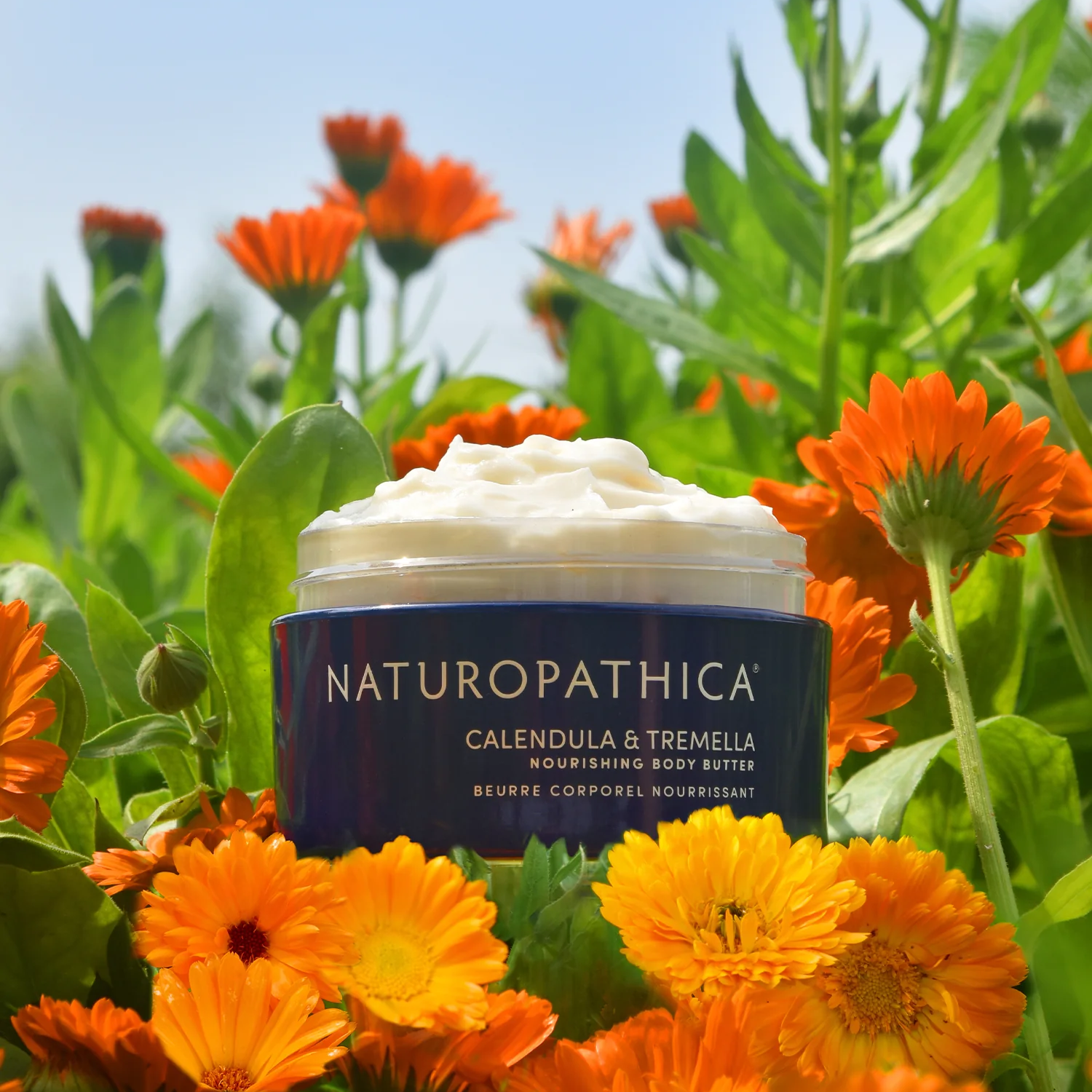 Naturopathica Calendula & Tremella Nourishing Body Butter - Organic Moisturizing Cream for Dry Skin - Perfect for Daily Hydration & Spa Nights