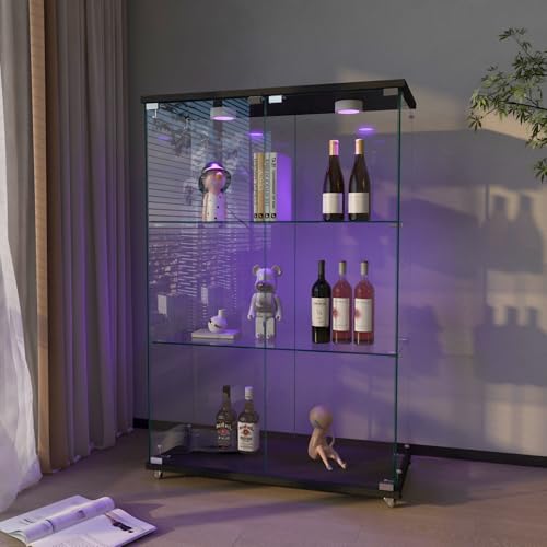 Black 2 Doors 3 Shelves With Light