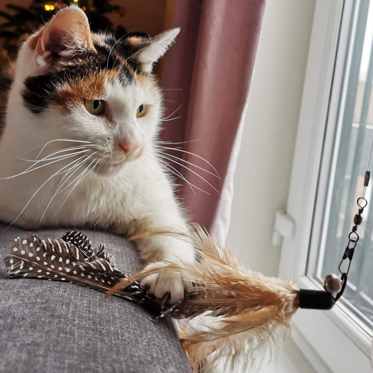 Interactive Retractable Feather & Bell Wand Toy for Cats - Fun Playtime Exercise for Indoor Kittens & Adult Felines