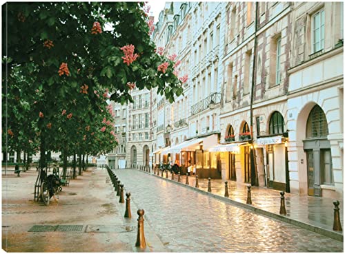 Paris in Chesnut Blossom Pink