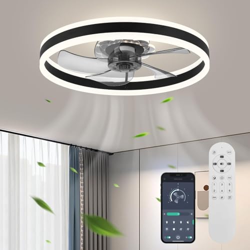 F105 Black Ceiling Fan with Light