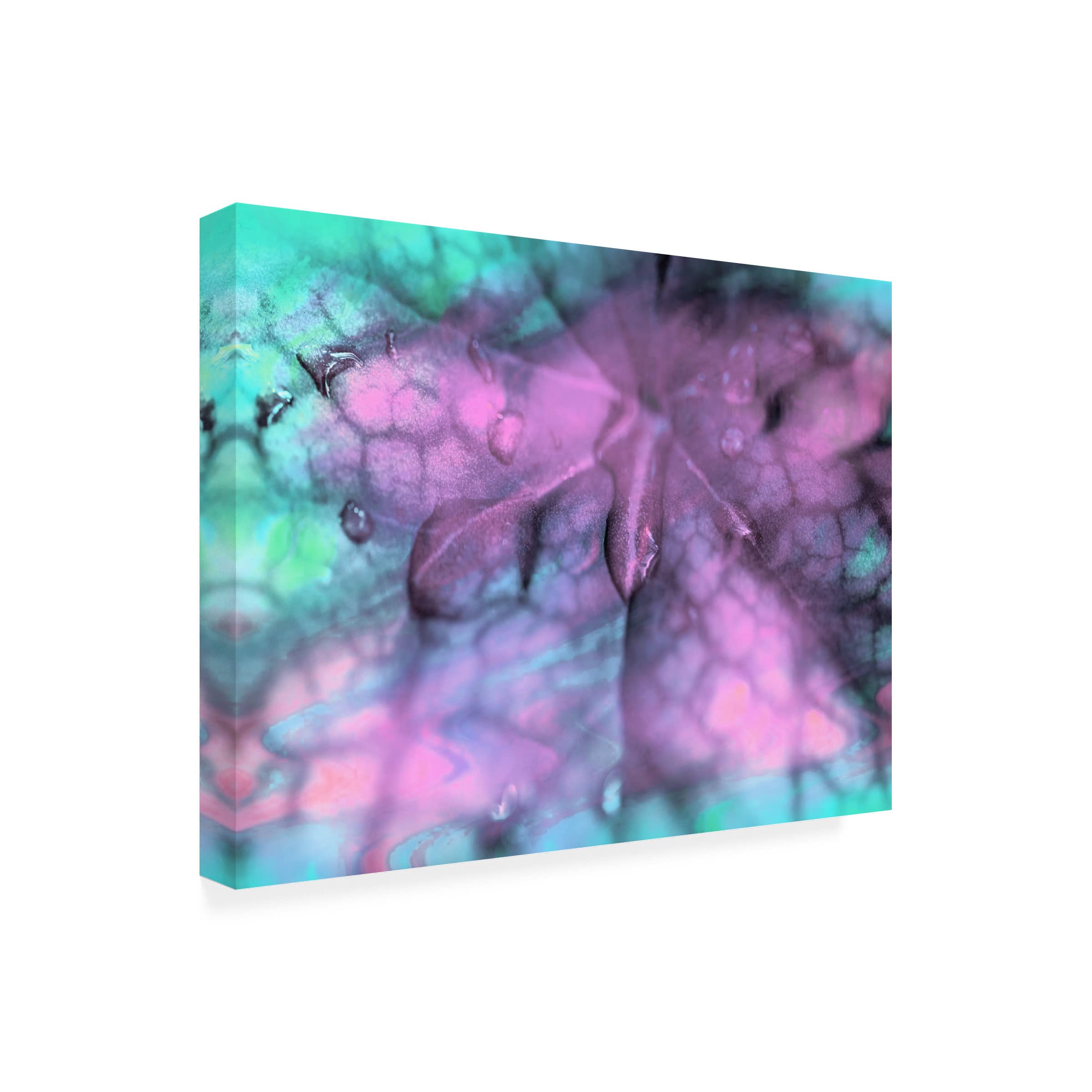 Trademark Fine Art 'Celestial Dew Drops II' Canvas Wall Art by Eva Bane - Modern Abstract Painting for Living Room, Bedroom & Office Decor