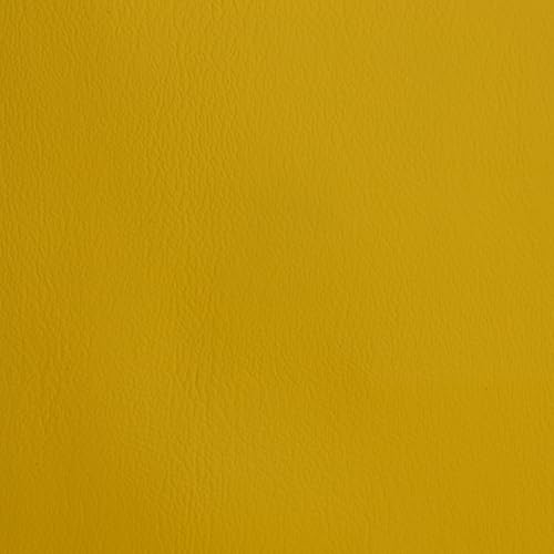 Canary Yellow