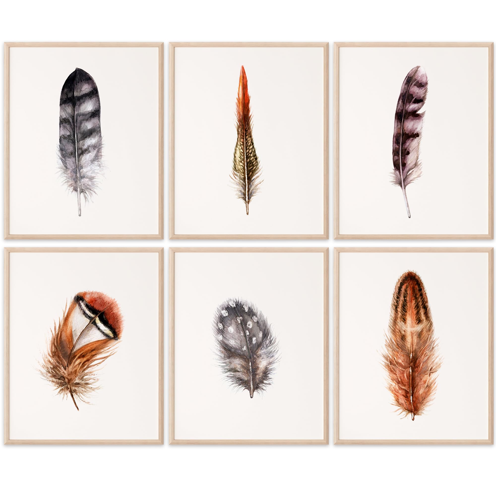 Feather Art Prints Set of 6 - 8x10 Inch Unframed Rustic Wall Decor - Nature Inspired Home Decor for Living Room, Bedroom & Office - Farmhouse Style Feather Painting for Boho, Modern & Country House Decor