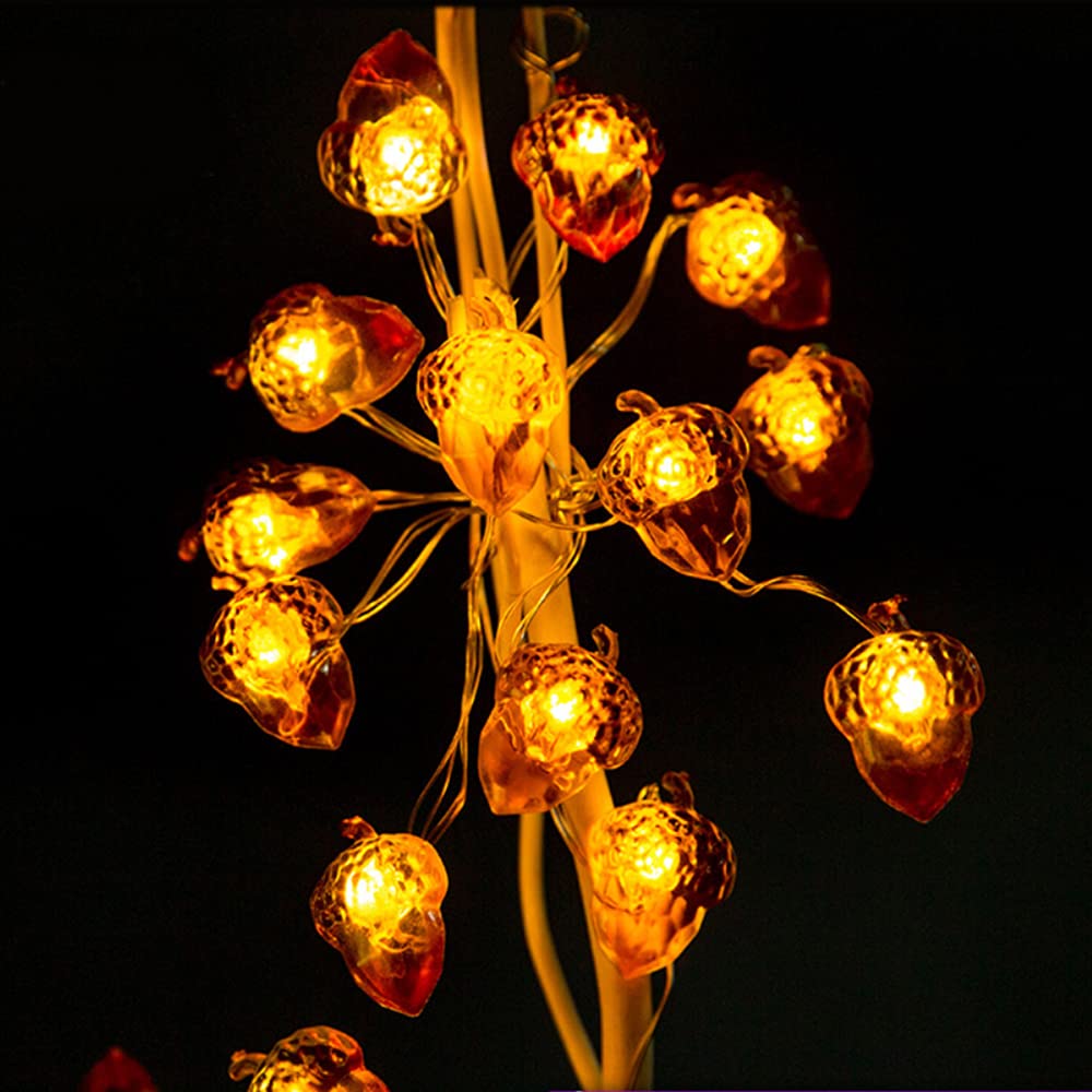 BOHON 10ft 40 LED Acorn String Lights with Remote - Battery Operated Fairy Lights for Thanksgiving, Fall, Christmas & Halloween Decor - Perfect for Home, Bedroom, Tree, Garland and Party Decorations
