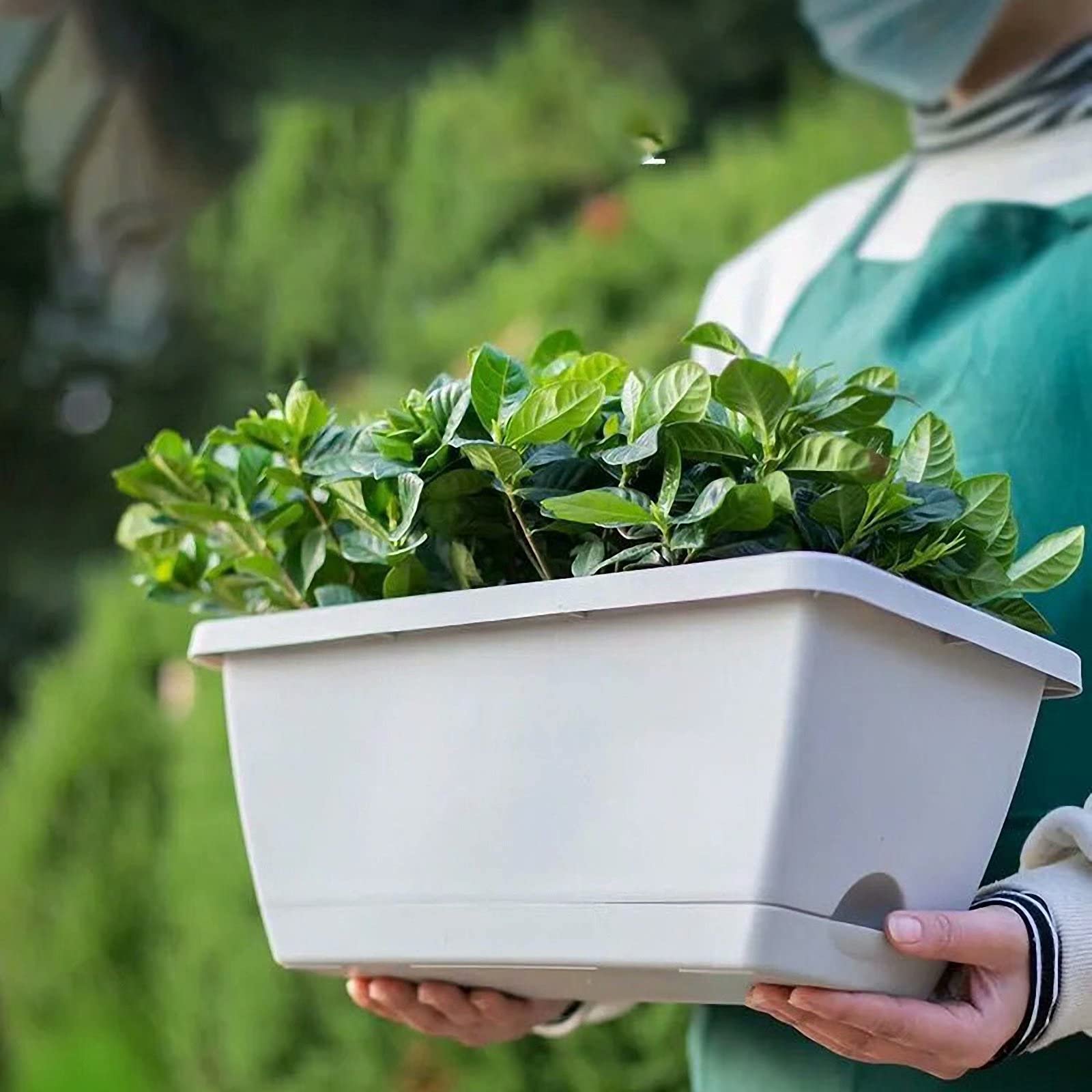 14 Inch Plastic Flower Box Planter - Rectangular Window Box with Drainage Tray, Green - Perfect for Indoor/Outdoor Plants, Balcony & Window Sill Decor
