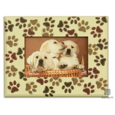 A Paw Print on the Heart: A Story of Love and Memory