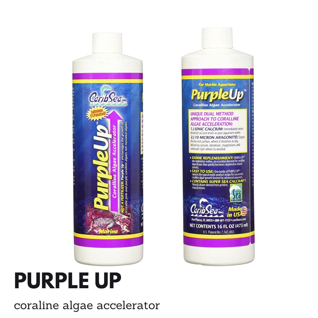 Caribsea Purple Up 16oz - Calcium & Magnesium Supplement for Saltwater Aquariums | Promotes Coral Growth & Vibrant Colors | Ideal for Reef Tanks & Marine Aquariums