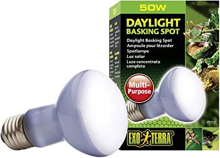 EXO TERRA Daylight Basking Spot Lamp 50W - Reptile Heat Bulb for Terrariums, Ideal for Lizards, Turtles & Snakes - Perfect for Daytime Heating & UVB Lighting in Reptile Habitats