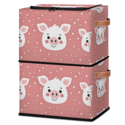 Cute Piggy Pig