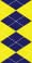 Navy/Yellow