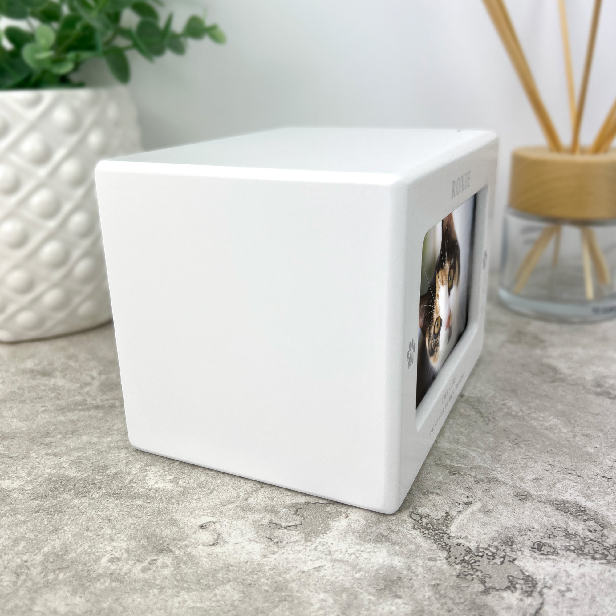 Personalized Paw Prints Heart Pet Urn for Ashes - Holds 0.51 Litres (9.5x6cm Photo Frame) - Memorial Keepsake for Dogs, Cats & Beloved Pets - Perfect for Home Memorials & Pet Loss Gifts