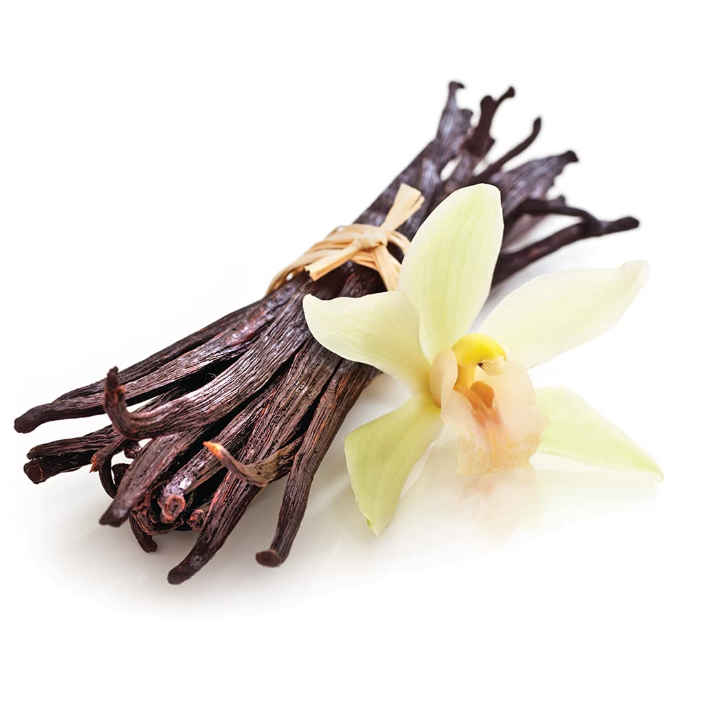 Premium French Vanilla Fragrance Oil - 64 oz Bulk Size for Candle Making, Soap Crafting, Bath Bombs, Room Sprays & DIY Home Fragrance - Perfect for Aromatherapy, Car Fresheners & Slime Making