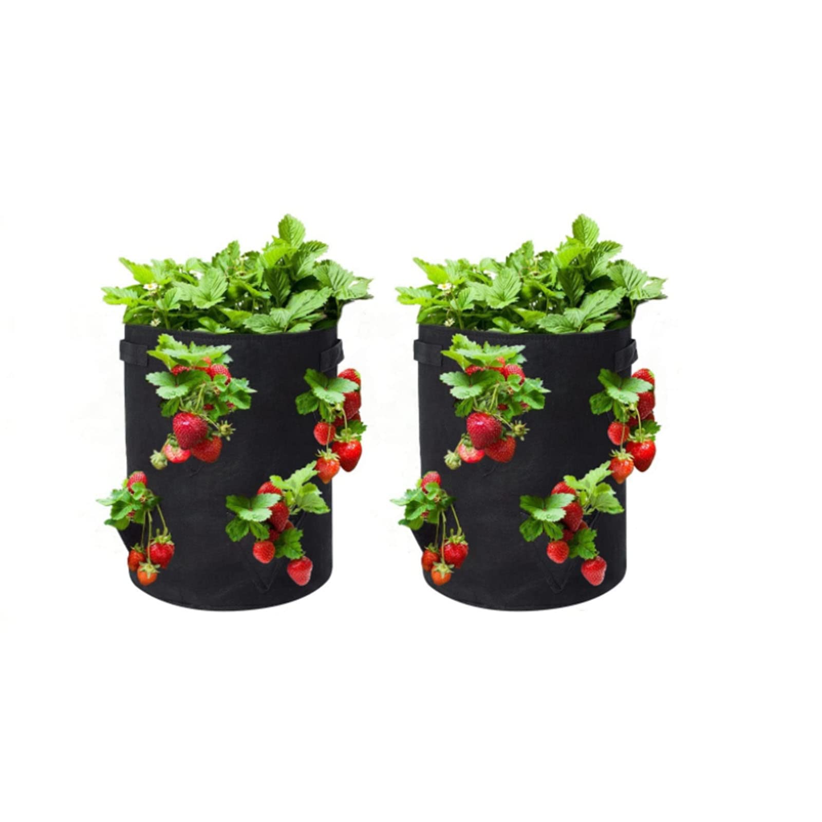 WEIZHI 2-Pack 10 Gallon Aeration Fabric Grow Bags for Strawberries, Tomatoes, Peppers - Breathable Plant Containers with Drainage Holes for Indoor/Outdoor Gardening, Balcony, Terrace & Patio Use