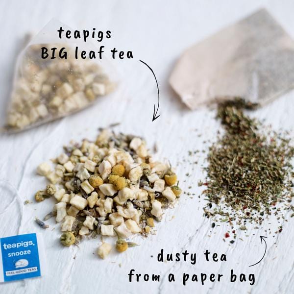 Teapigs Snooze Herbal Tea for Sleep & Relaxation - Natural Chamomile & Lavender Blend - Perfect for Bedtime & Stress Relief