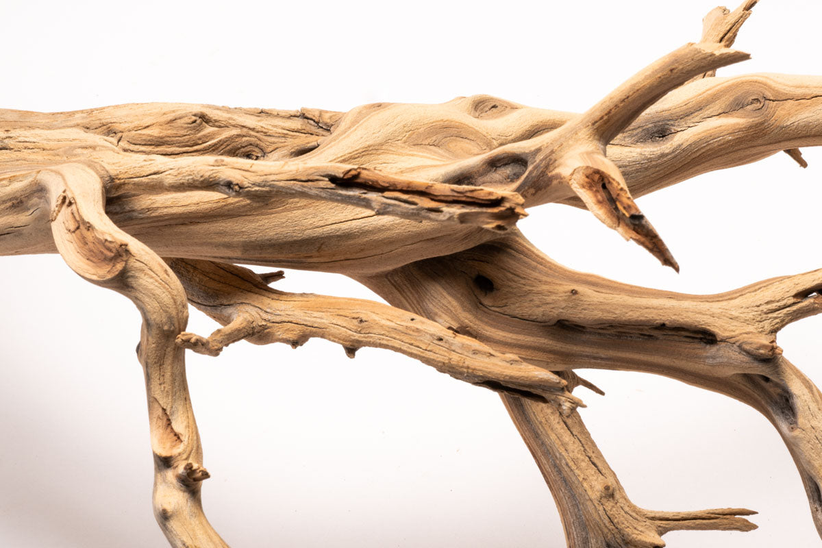 Ghost Wood - Premium Natural Wood for DIY Crafts, Home Decor & Woodworking Projects | Perfect for Wall Art, Shelving & Rustic Furniture