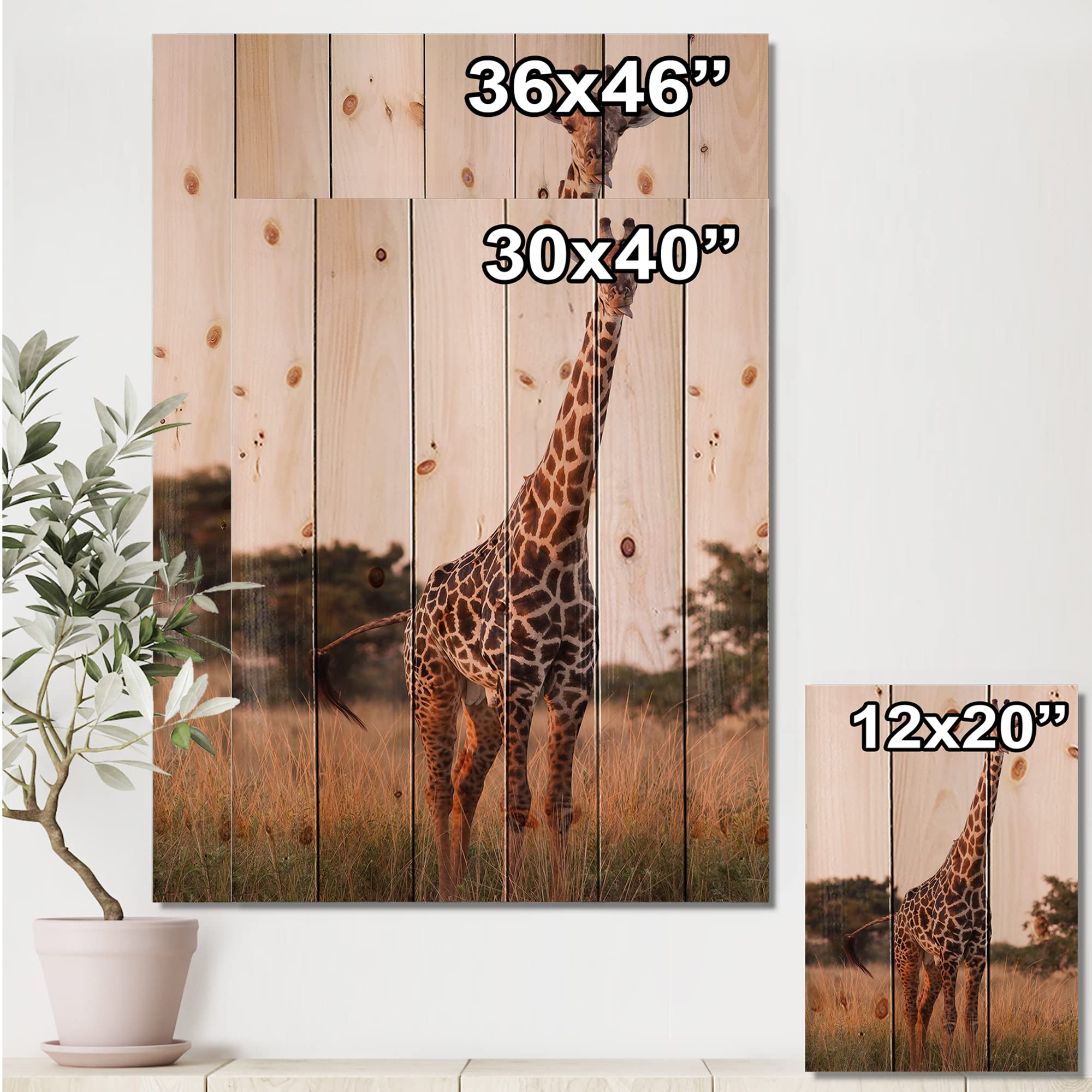 DesignQ African Giraffe in the Wild - Rustic Farmhouse Wood Wall Decor, Brown Wood Wall Art, Large Animal Wood Panel Printed on Natural Pine - Perfect for Living Room, Nursery & Safari-Themed Home Decor