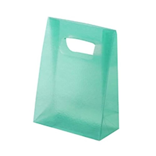 Eco-Friendly Frosted Lunch Bags 3