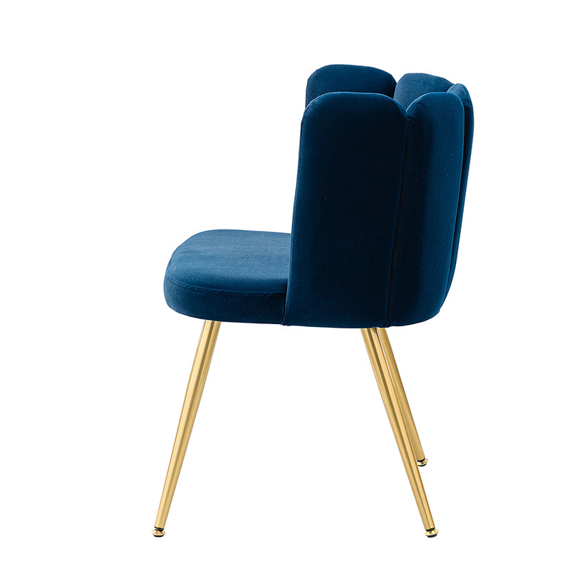 Elodia Side Chair - Modern Accent Chair for Dining Room, Living Room & Office - Sturdy Wooden Frame with Upholstered Seat - Perfect for Home Decor & Small Spaces