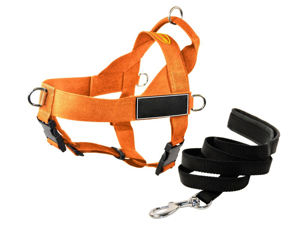 Dean & Tyler DT Universal No Pull Dog Harness with Black Patches & Puppy Leash - Orange X-Large for Large Breed Dogs - Perfect for Walking, Training & Outdoor Adventures