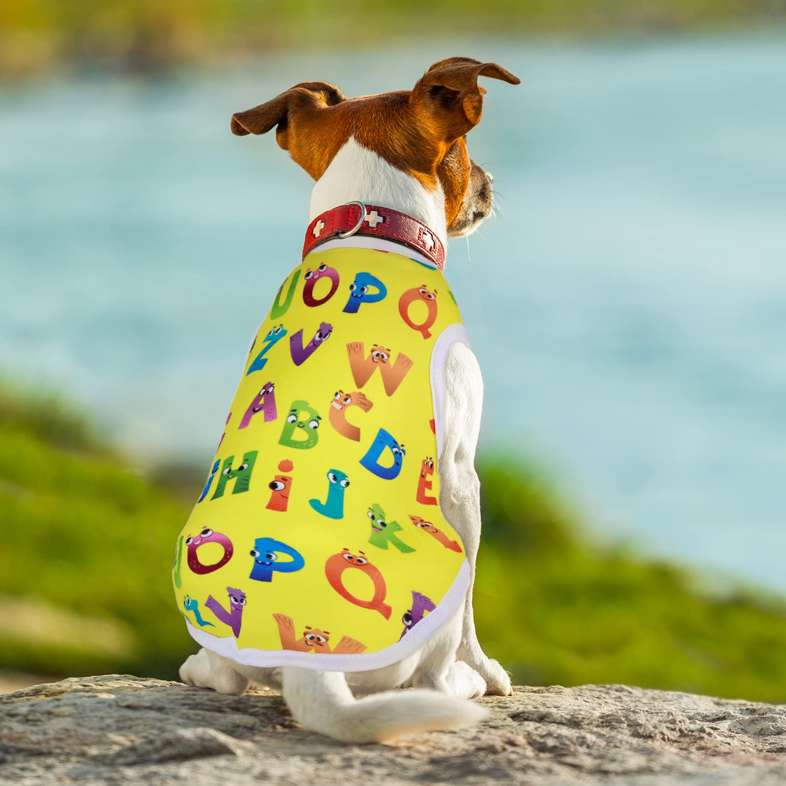 Saintrygo 10 Pack Cute Puppy Print Dog Shirts - Breathable Cartoon Pet Sweatshirt for Small Dogs & Cats (Medium Size) | Perfect for Daily Walks, Pet Parties & Photo Shoots