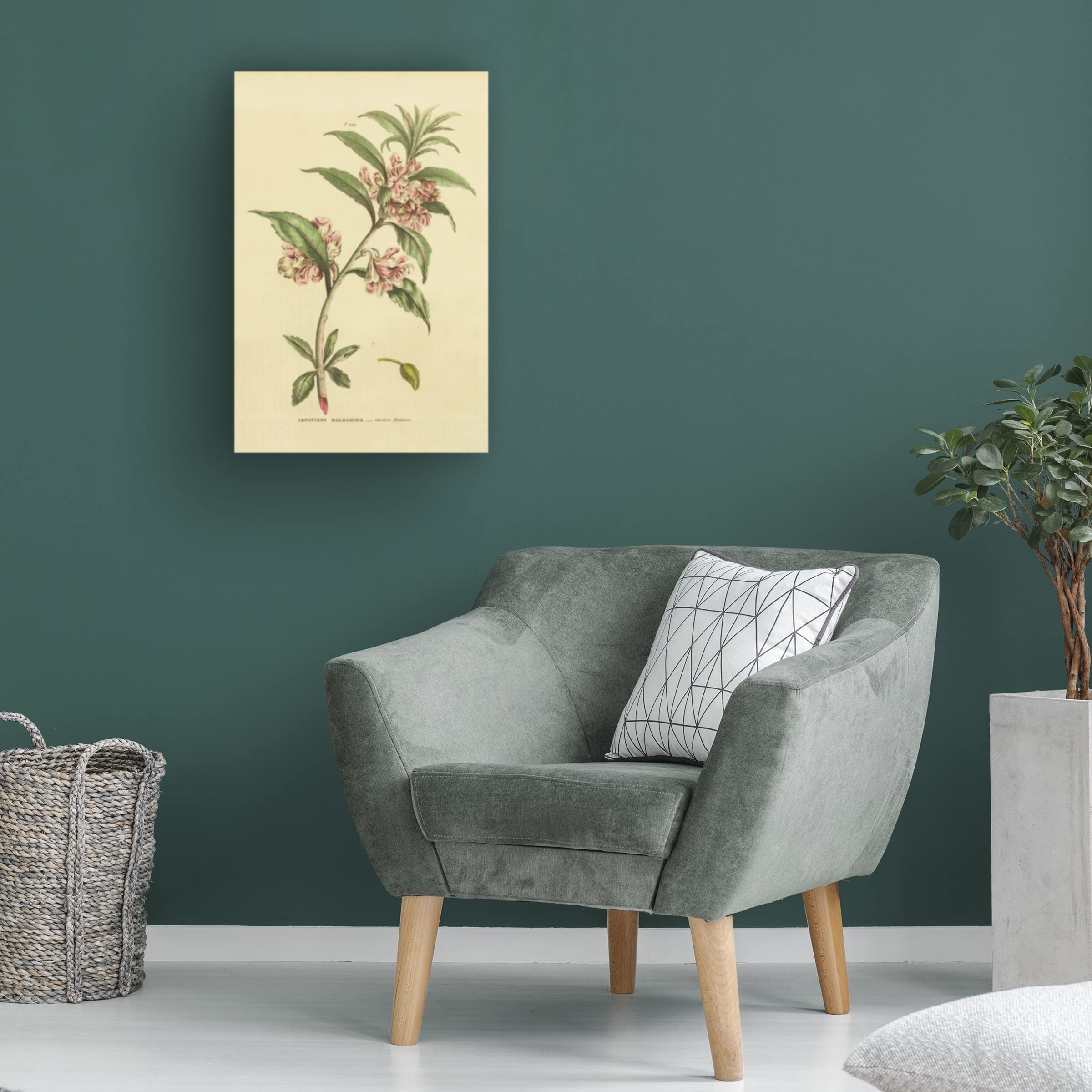 Trademark Fine Art 'Herbal Botanical XXVI' Canvas Wall Art Print by Wild Apple Portfolio - Perfect for Living Room, Bedroom & Office Decor