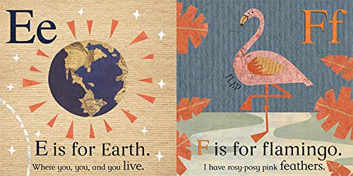 The Amicus Book of ABC - Fun & Educational Alphabet Learning for Kids | Perfect for Preschool, Homeschool & Early Reading Practice