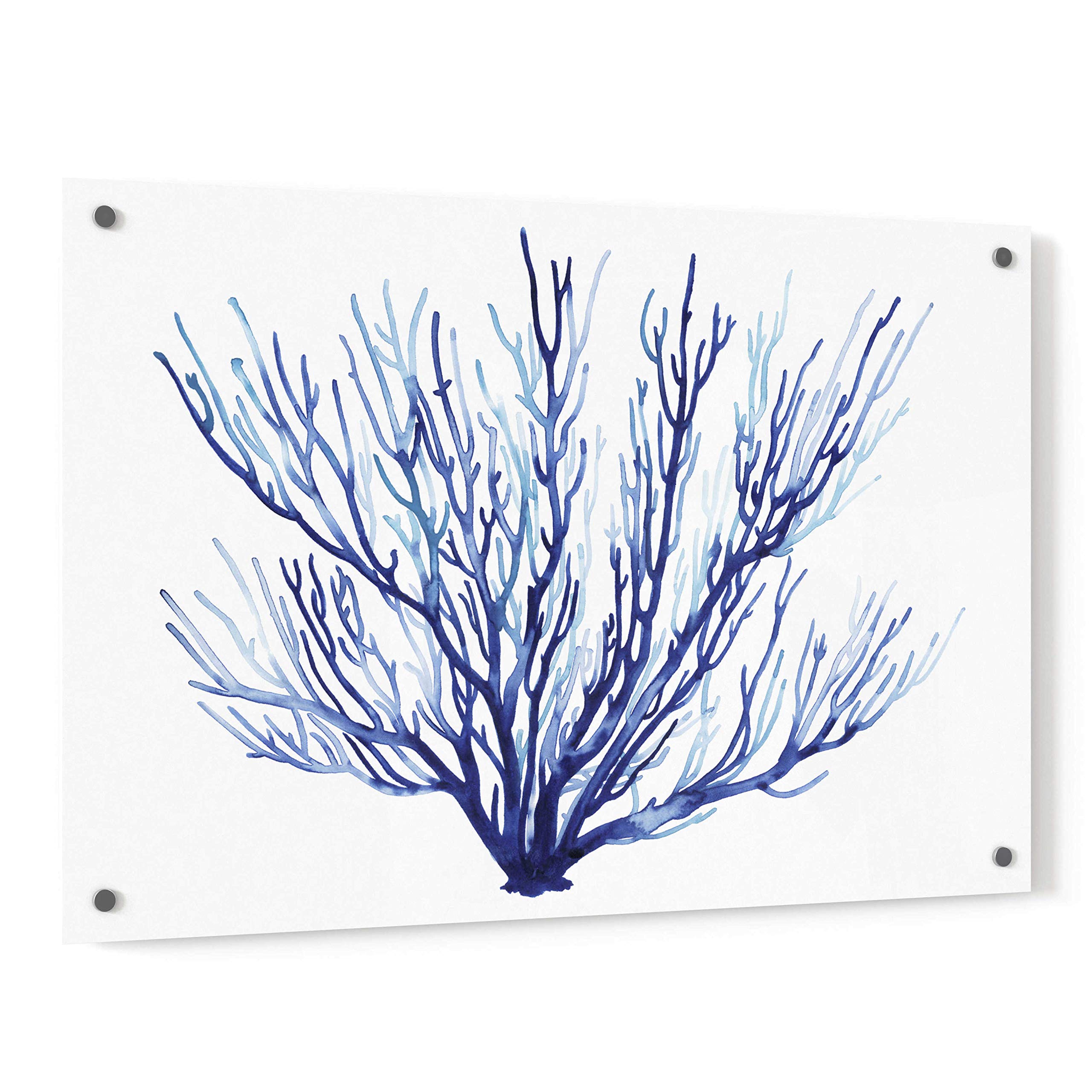 Grace Popp 'Azure Fan II' Acrylic Glass Wall Art - 36x24 Inches Modern Abstract Painting for Living Room, Bedroom & Office Decor