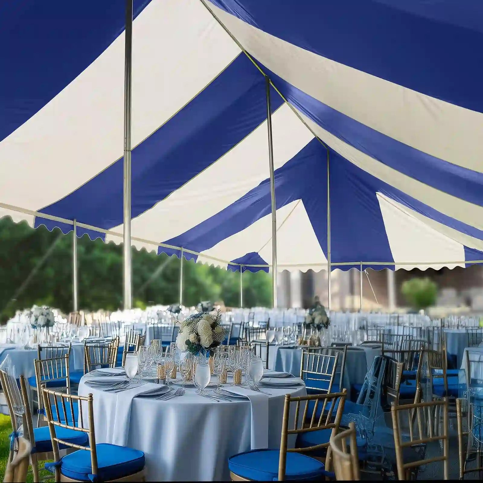Quictent Heavy Duty Fire Retardant Pole Tent - Waterproof Party Canopy for Outdoor Events, Weddings & Camping