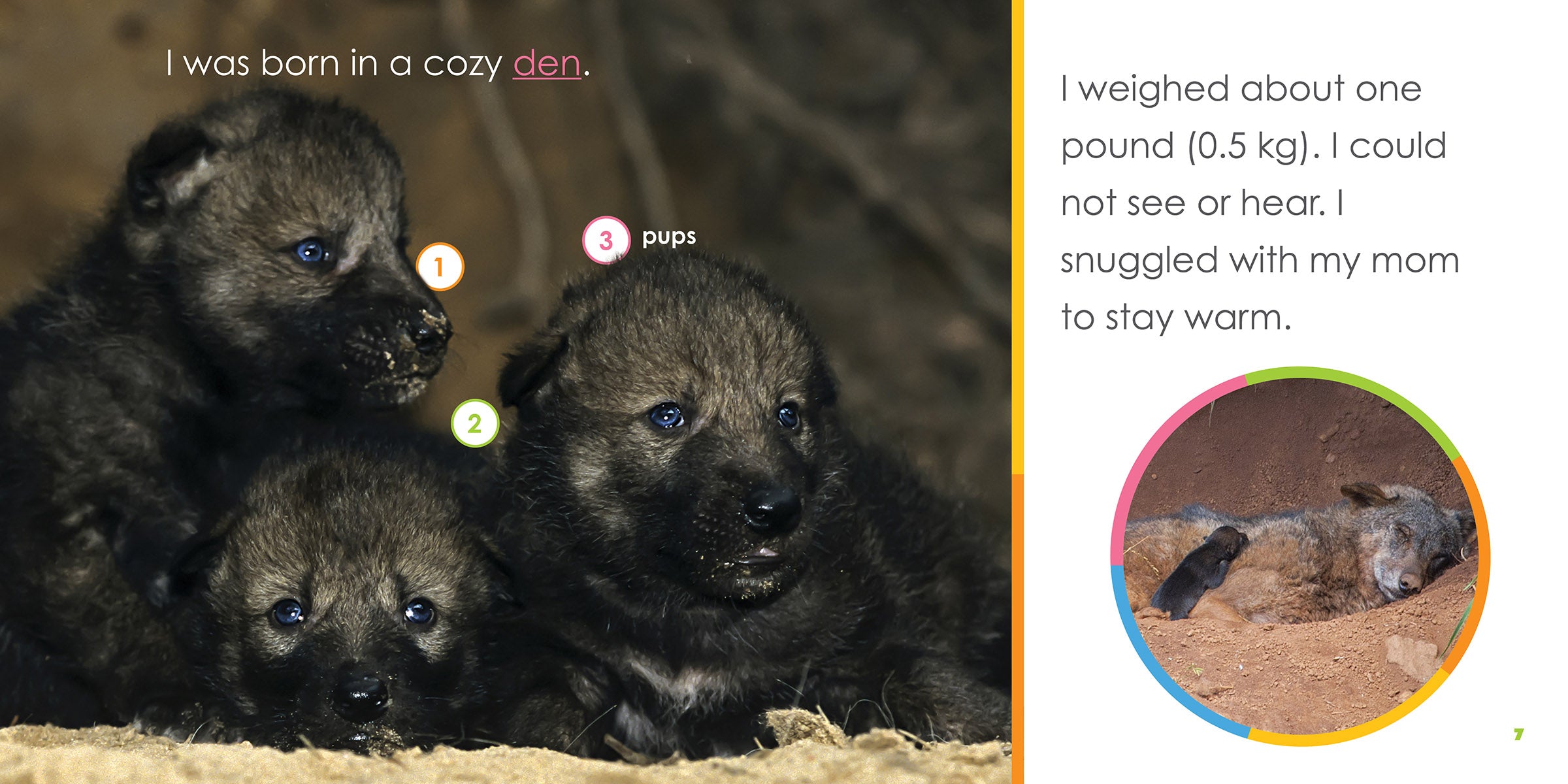 Baby Wolves Starting Out - Adorable Wolf Plush Toys for Kids & Collectors | Perfect for Nursery Decor, Gifts & Cuddling