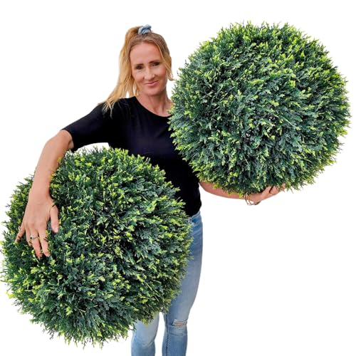 Cedar (Cypress)