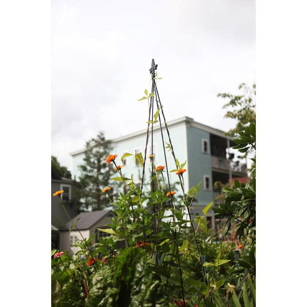 Fleur De Lis Garden Trellises - Elegant Metal Vine Support for Climbing Plants, Roses & Flowers | Perfect for Outdoor Gardens, Patios & Backyard Decor