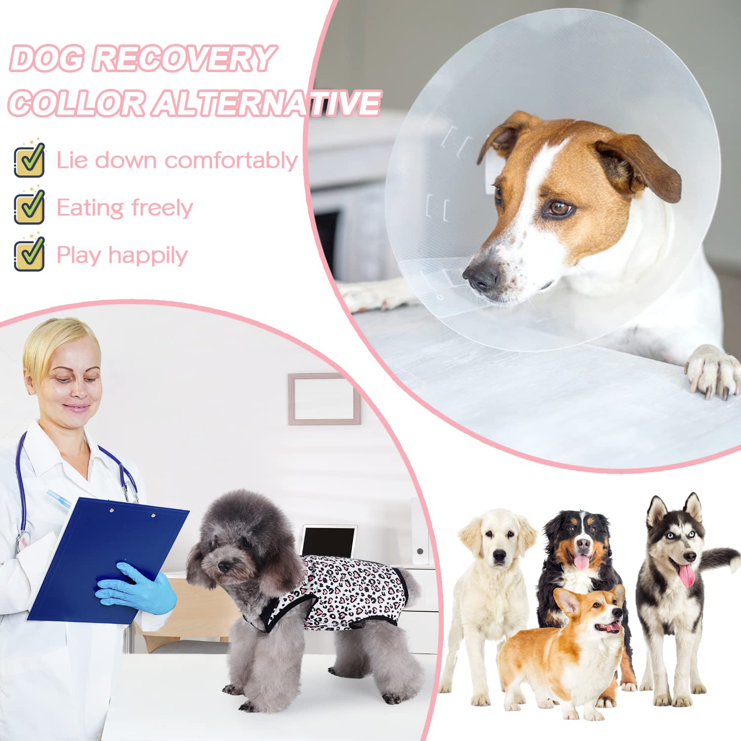 Etdane Dog Recovery Suit for Female & Male Dogs - Post-Surgery Onesie with Pee Hole | Spay/Neuter Surgical Suit for Small & Medium Dogs | Leopard Print | Perfect for Post-Op Care & Wound Protection