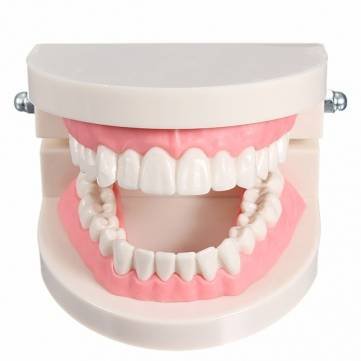 Non-Toxic Wooden Pine Tooth Storage Box for Kids - Safe & Cute Keepsake for Baby Teeth Preservation | Perfect for First Lost Tooth Memory & Nursery Decor