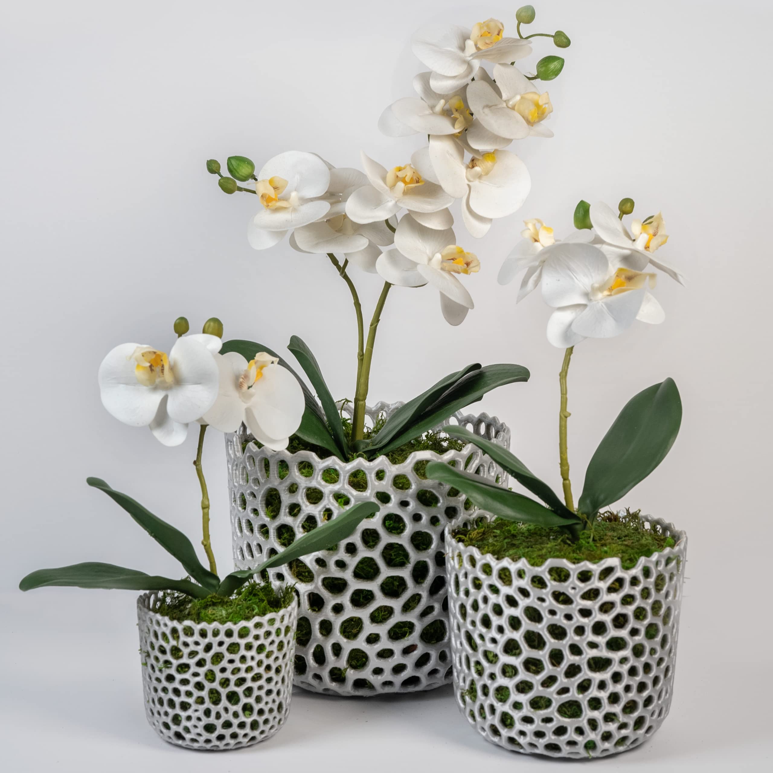 Voronoi Mesh Cylinder Orchid Pot - Breathable White Orchid Planter for Air Plants & Succulents | Perfect for Indoor Gardening, Home Decor, and Office Plants