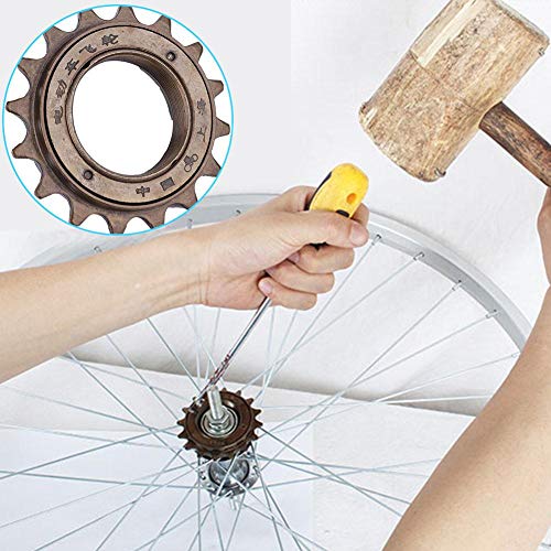 16T Single Speed Bike Freewheel - 16 Teeth Bicycle Cassette Sprocket Replacement for Single Speed Bikes - Perfect for Urban Commuting, Fixie Bikes & DIY Bike Maintenance