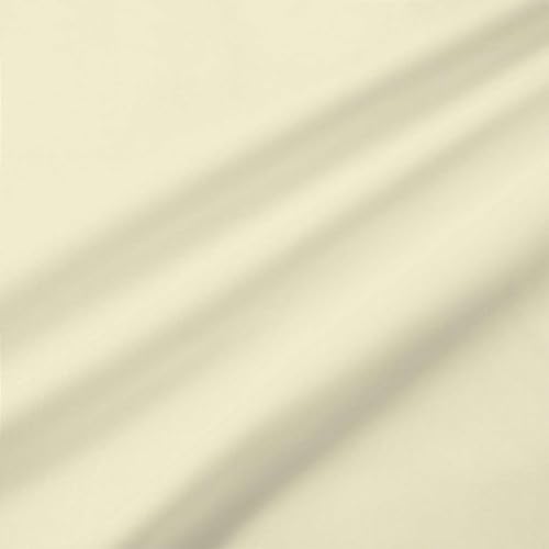 Ivory Solid