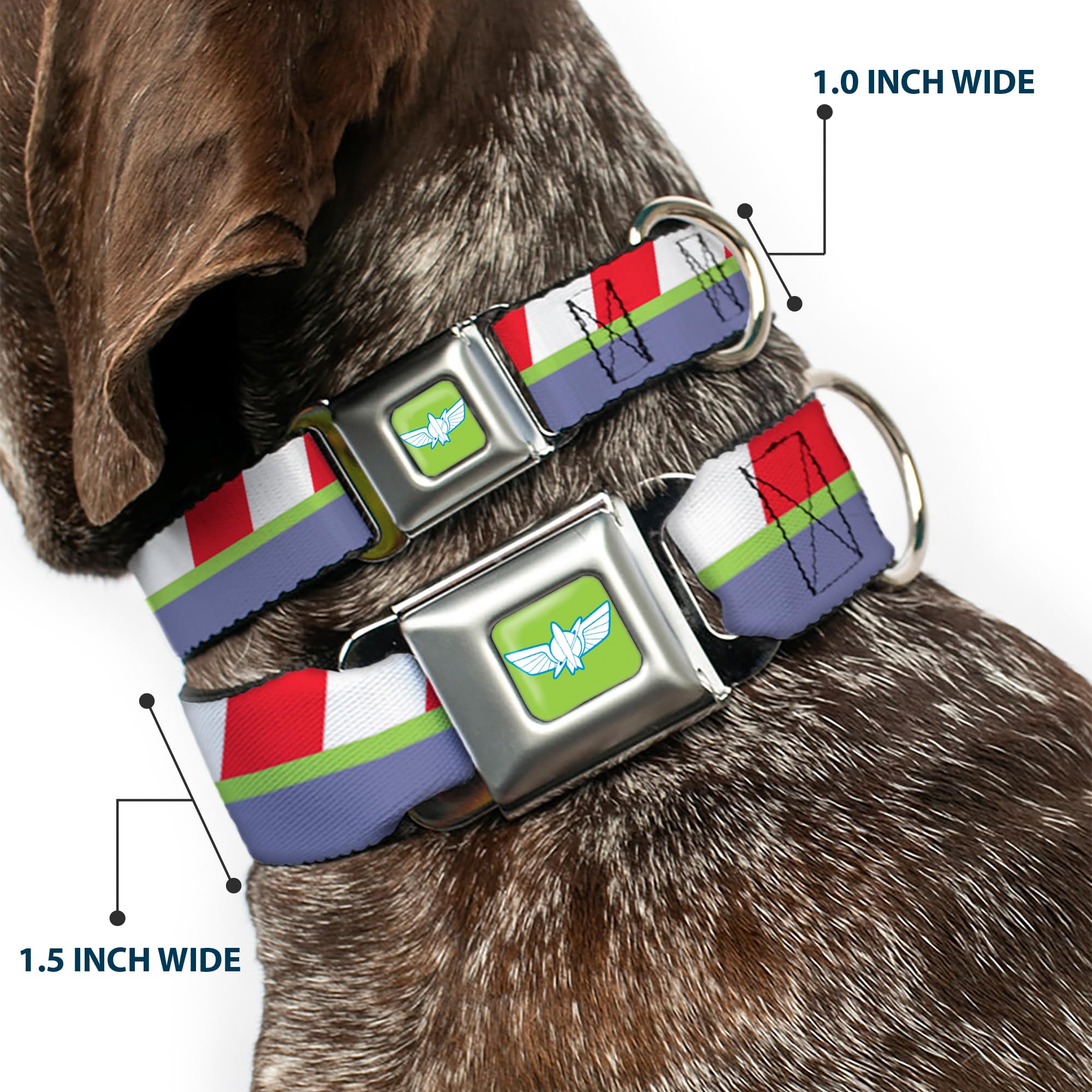 Buckle-Down Dog Collar with Seatbelt Buckle - Toy Story Buzz Lightyear Themed Striped Design in Red, Green & Purple - Adjustable 11-17 Inches, 1.0 Inch Wide - Perfect for Cosplay, Pet Costumes & Disney-Themed Events (DC-SB-DYXU-WDY494-1.0-M)