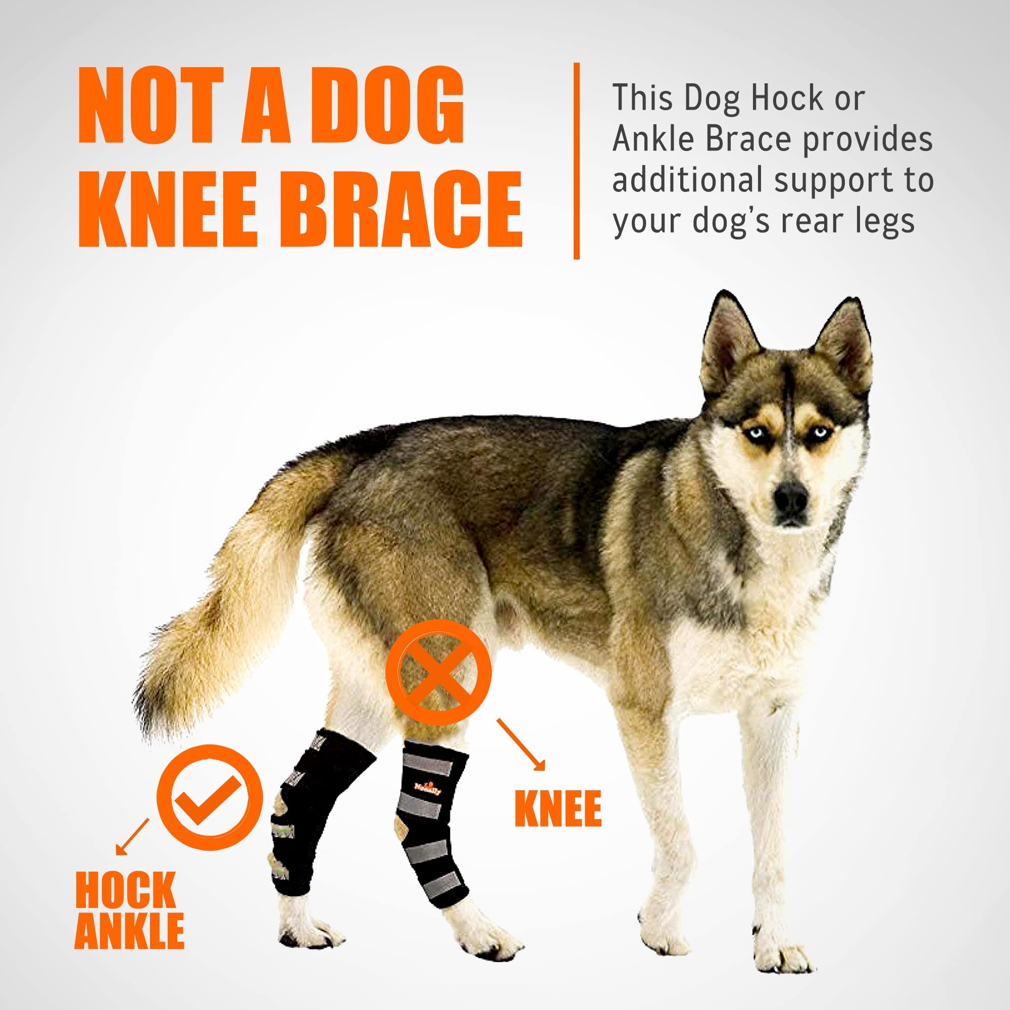 NeoAlly® Dog Rear Leg Hock Brace - Support for Large Dogs with Torn ACL/CCL, Ankle & Joint Protection - Long Version Small (1 Pair) - Ideal for Post-Surgery Recovery & Active Dogs