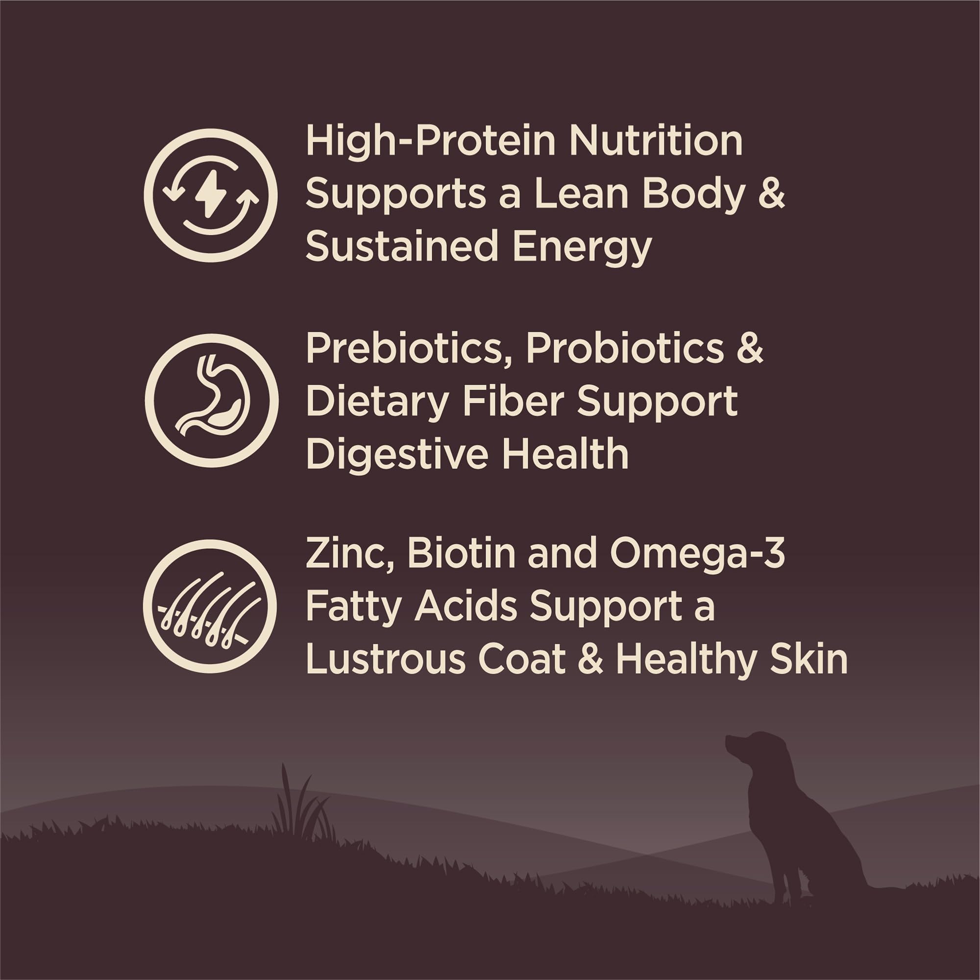 Wellness CORE Grain-Free Small Breed Dry Dog Food - High Protein Natural Recipe with Turkey & Chicken (4lb Bag) - Perfect for Active Small Dogs & Puppies