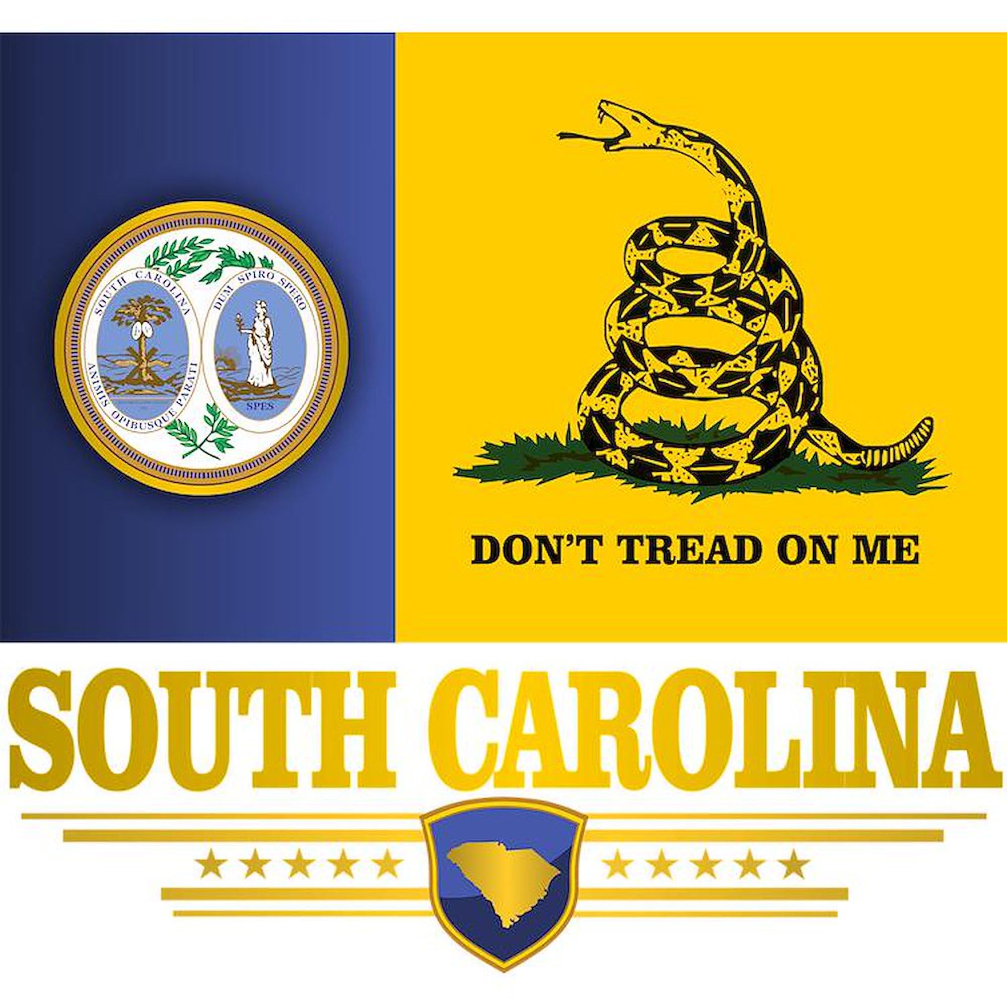 South Carolina DTOM 3x3 Inch Square Car Magnet - Strong Magnetic Bumper Sticker for Cars, Trucks & Vehicles - Show State Pride on Highways & Parking Lots