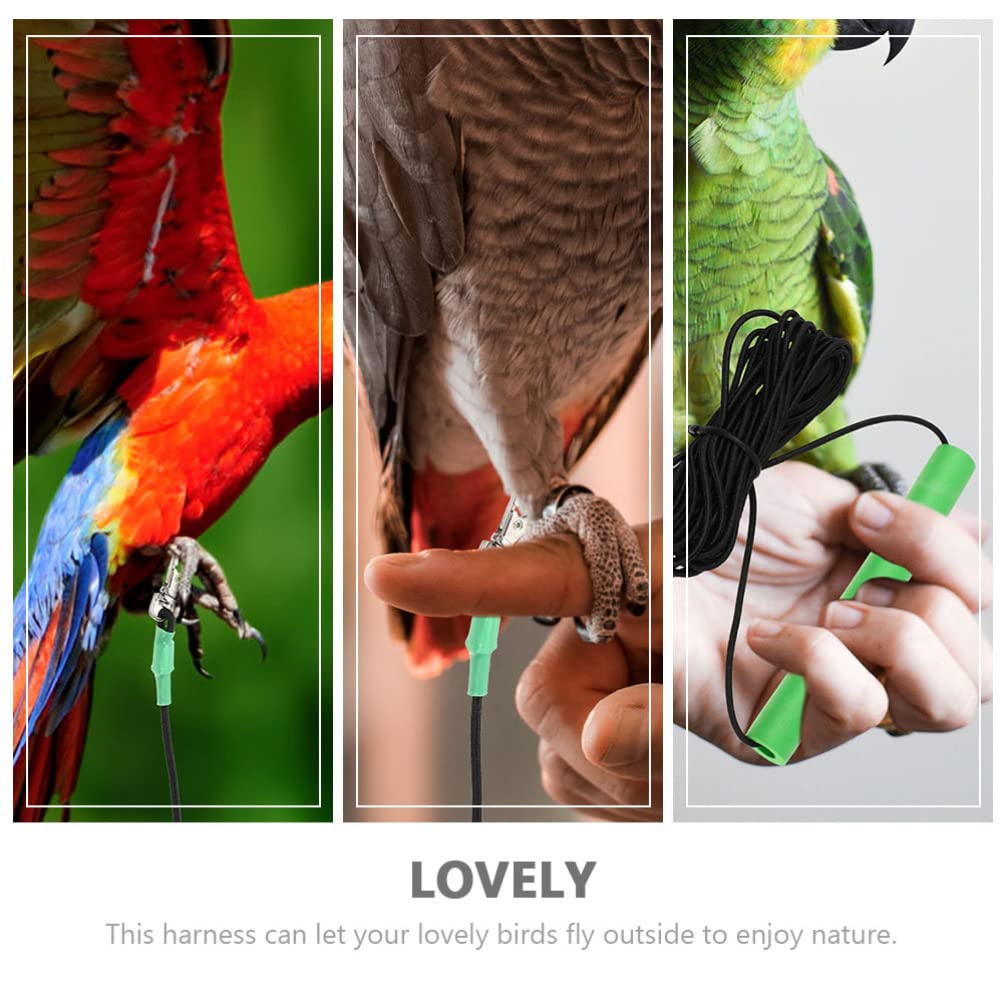 2pcs Bird Flying Leash & Training Rope - Adjustable Parrot Harness for Safe Outdoor Flight Training | Portable Pet Bird Leash for Macaws, Cockatoos, Parakeets | Perfect for Park Adventures & Backyard Flight Exercises