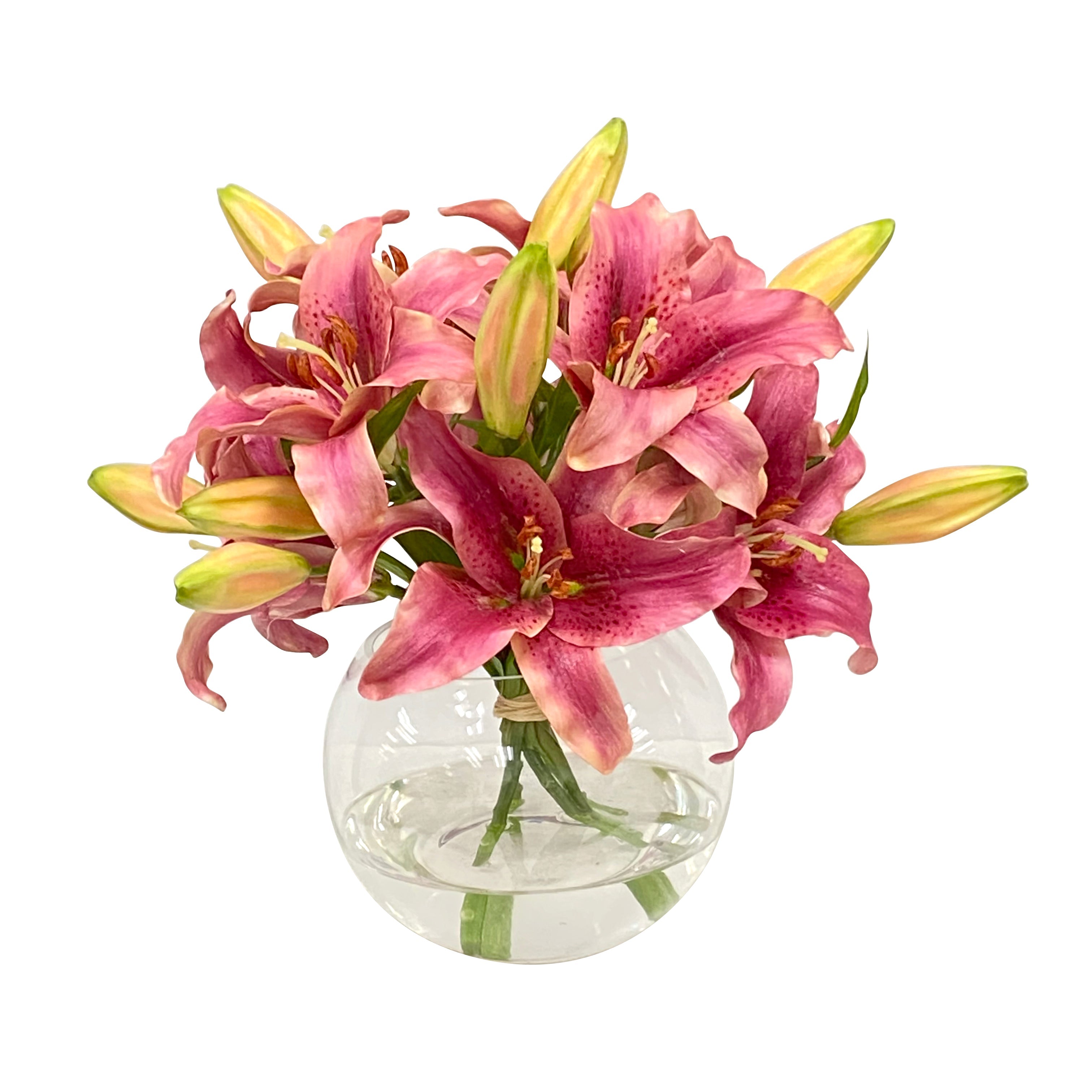 Casablanca Lilies in Bowl - Elegant White Flower Arrangement for Home Decor, Wedding Centerpieces & Table Settings