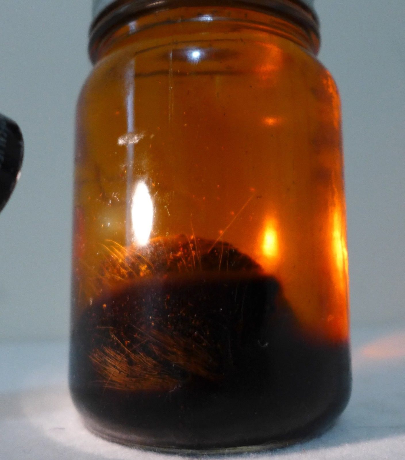 Pure Natural Deer Musk Nafa/Kasturi Kijang Essential Oil - 6ML Strong Intense Aroma for Perfume Making, Aromatherapy & Spiritual Rituals