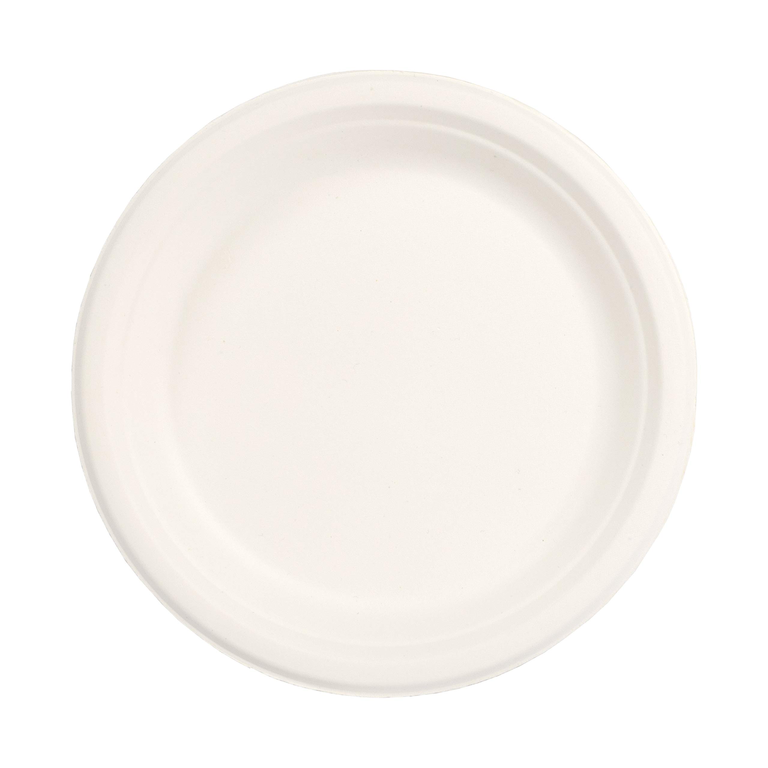 Eco-Friendly 100% Compostable 6-Inch Plant Fiber Plates (1000 Count) - Biodegradable Dinnerware for Parties, Picnics & Sustainable Living