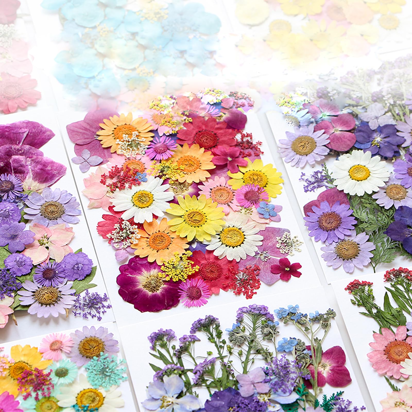 40 Pcs Dried Pressed Flowers for Resin DIY Art Crafts - Natural Herbs Leaves & Dry Plants for Epoxy Jewelry, Floral Decor, Cakes, Phone Cases, Candles & Handmade Soap - Perfect for Summer Wedding, Home Decor & Scrapbooking Projects