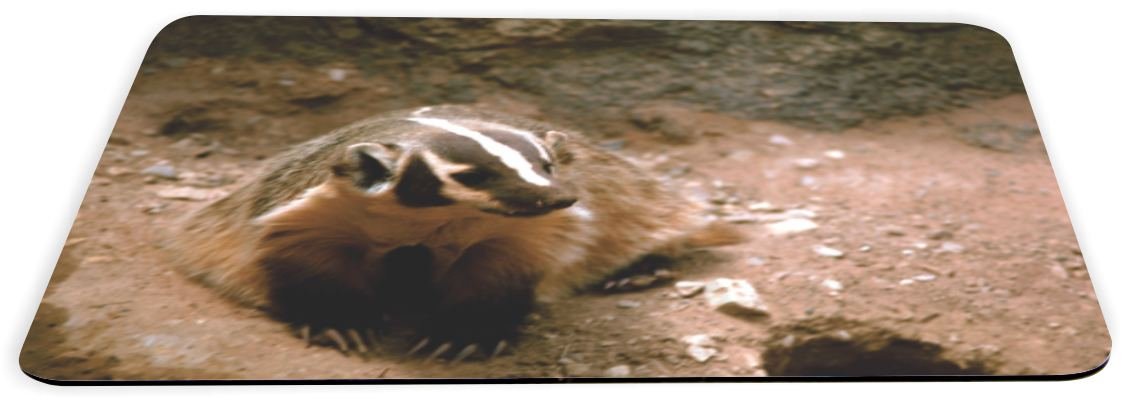 Honey Badger Lightning Series Gaming Mouse Pad - Large Non-Slip RGB Mouse Mat for PC, Laptop, Esports - Perfect for FPS, MOBA, and Office Work