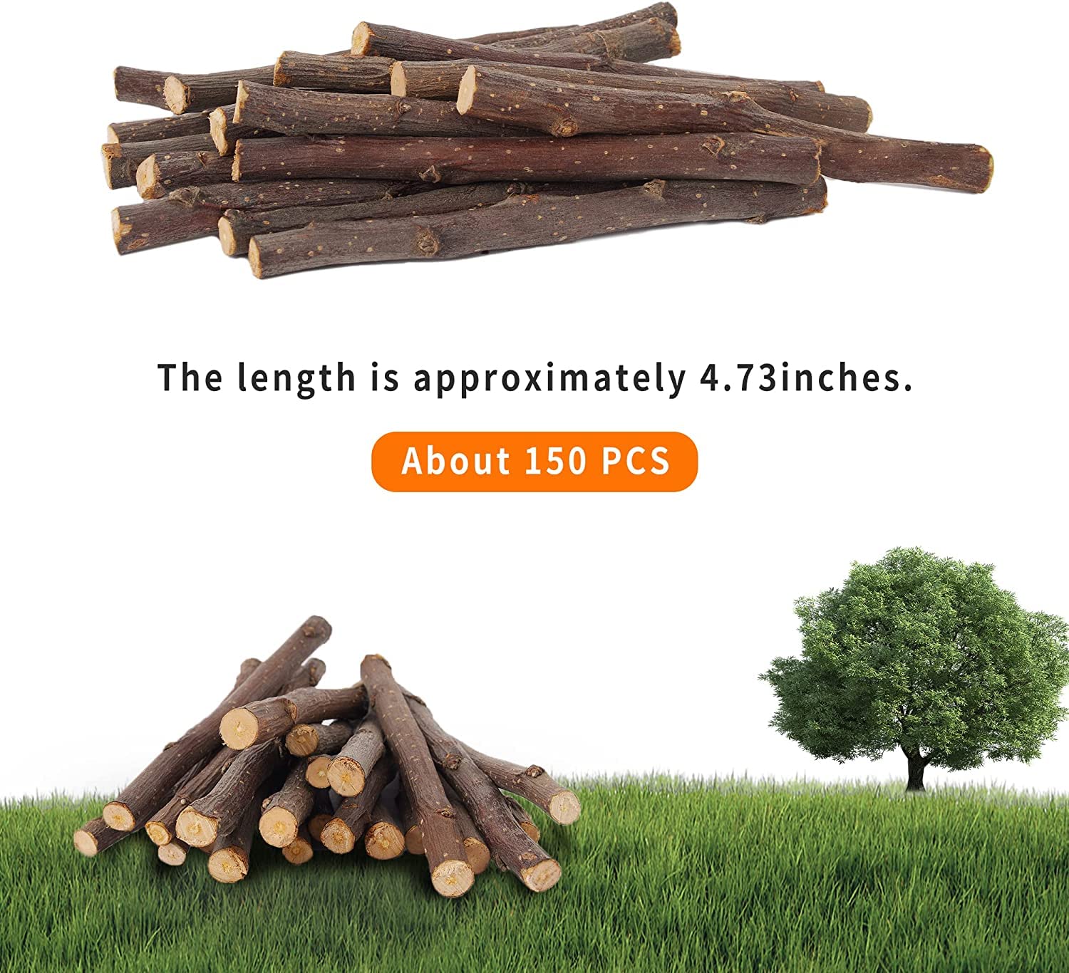600g Natural Apple Wood Chew Sticks for Rabbits, Guinea Pigs, Chinchillas & Small Pets - 150 Count Dental Treats for Healthy Teeth | Perfect for Cage Enrichment & Chewing Needs