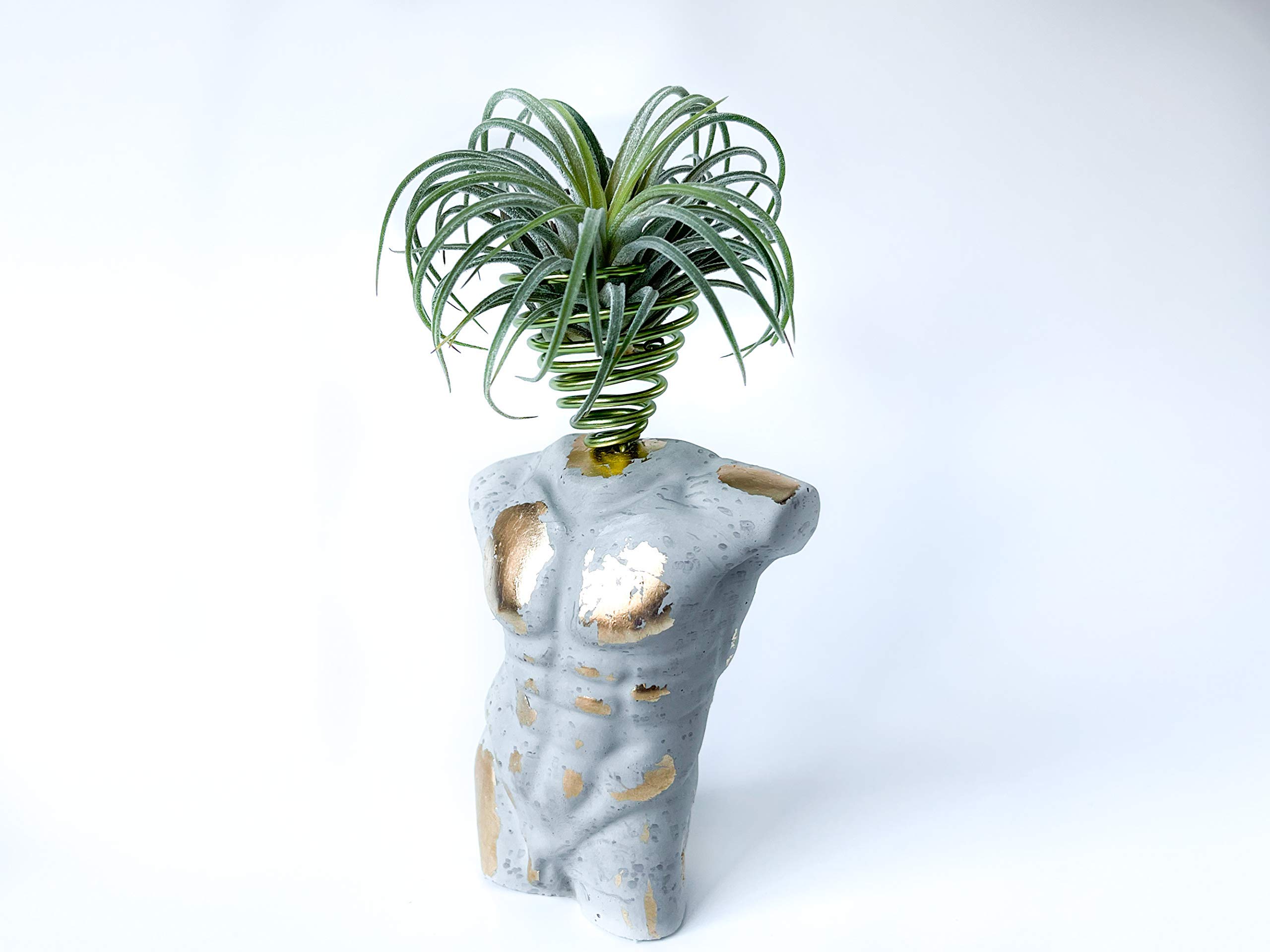 Stylish Concrete Air Plant Holder - Mini Male Torso Stand for Tillandsia | Small Decorative Planter with Geode Accent | Perfect for Desk, Table & Shelf Decor | Home & Office Plant Display